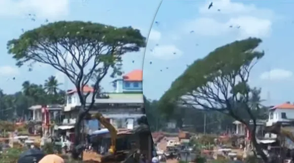 birds, kerala news, ie malayalam