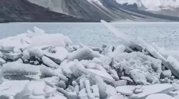 Optical illusion, Optical illusion viral, Hidden polar bear optical illusion, ie malayalam