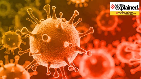 corona virus new variant in china, BF.7omicron variant, omicron covid variant,covid cases in India