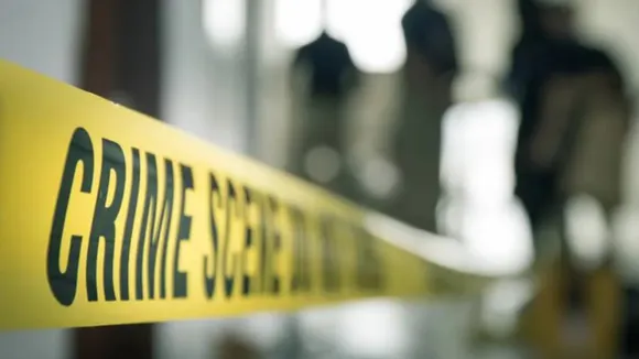 crime | News