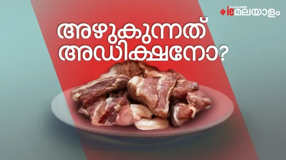 food poisoning, food safety, high meat, high meat euphoria, food poisoning kerala, high meat gastric cancer