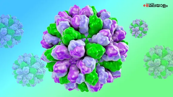 എറണാകുളത്ത് നോറോ വൈറസ് ബാധ സ്ഥിരീകരിച്ചു; 19 വിദ്യാര്‍ഥികളില്‍ രോഗലക്ഷണം