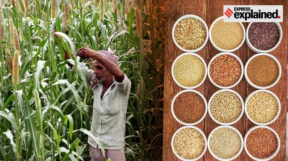 millets, India millets, Millets benefits, millets india political significance, MSP for millets,