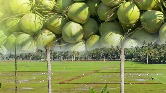 സംസ്ഥാന ബജറ്റില്‍ കാര്‍ഷിക മേഖലയ്ക്ക് എന്തെല്ലാം? വന്യജീവി ആക്രമണങ്ങള്‍ തടയാന്‍ രണ്ടുകോടി
