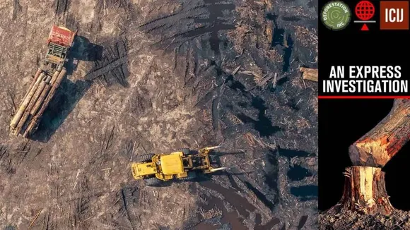 Deforestation Inc, Express investigation, Deforestation, Lutyens bungalows, forest encroachments, Recorded Forest Area,forests,rbi, encroachments,govt, tea gardens, india, un,forest map,forest, ie malayalam