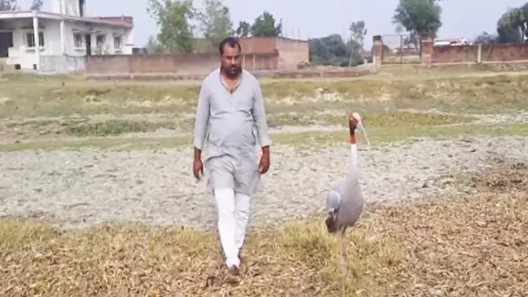 Viral video, trending, viral post