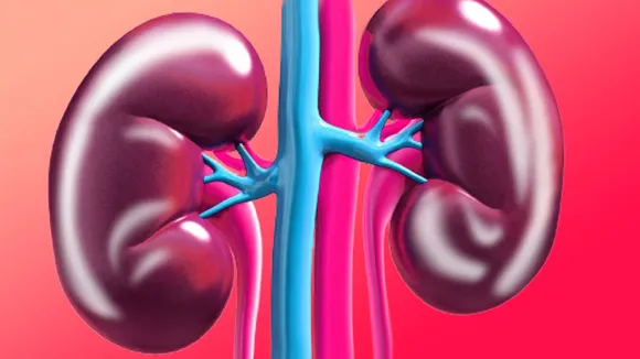 kidney, health, ie malayalam