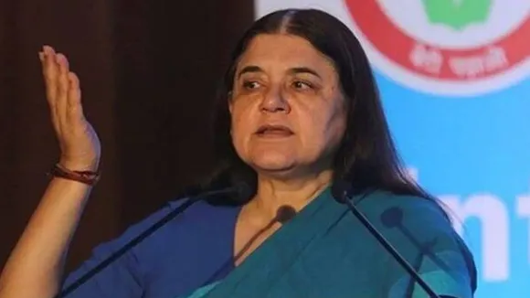 maneka gandhi, animal activist, bjp, donkey milk, uttar pradesh, sultanpur, bjp mp maneka gandhi, cleopatra