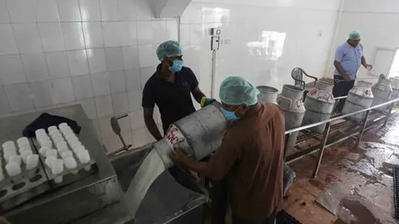 nandini, nandini milk, amul milk, nandini amul issue, Amul, Gujarat Cooperative Milk Marketing Federation, Karnataka’s milk market, Nandini milk dairy, Indian Express, India news, current affairs