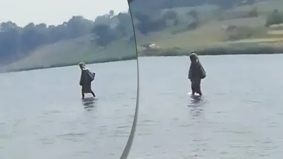 Viral Video, Viral Post, Trending