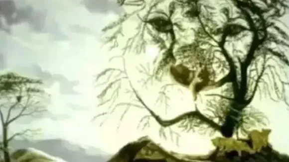 Optical Illusion, Viral Photo