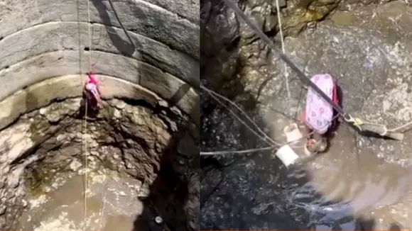 Viral Video, Trending, Viral Post