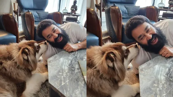 Mohanlal family, Mohanlal pets, Simba