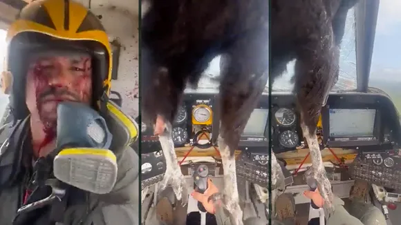 Plane Landing | Huge Bird | Viral Video