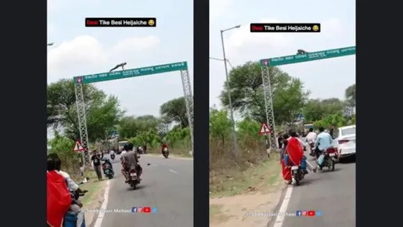 Viral|odisha|