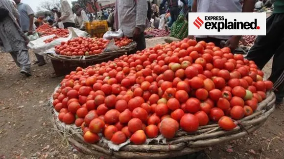 tomato| vegetables|price