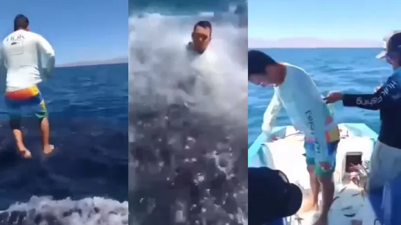 Trending| Viral Video| Viral post