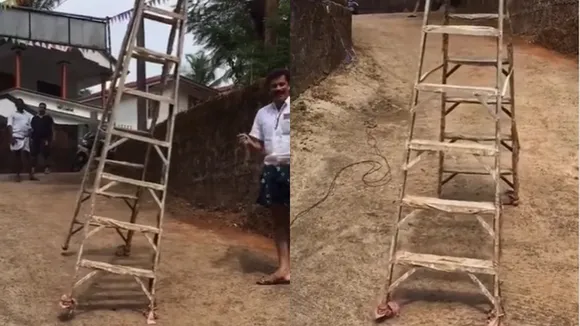 Ladder Walks Away by Itself video, Viral Video