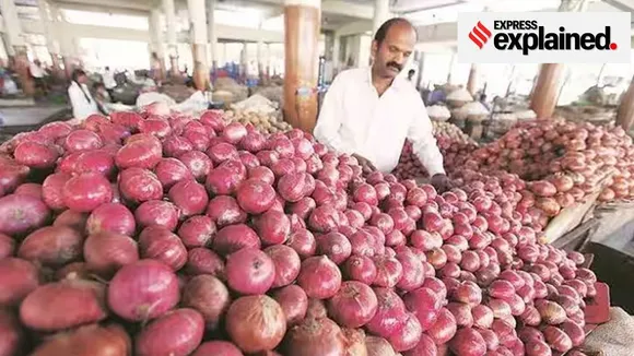 onion|price|increasing|explained