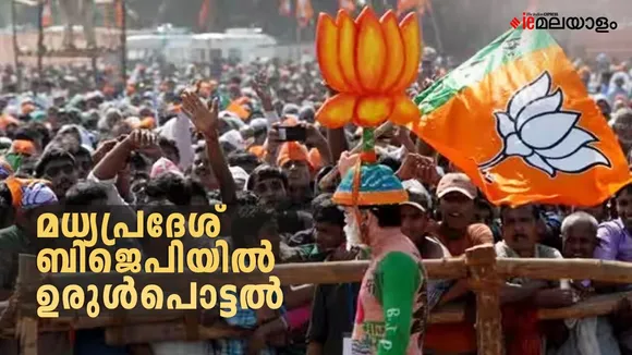 BJP sees blowback | Madhya Pradesh elections | bjp star candidates