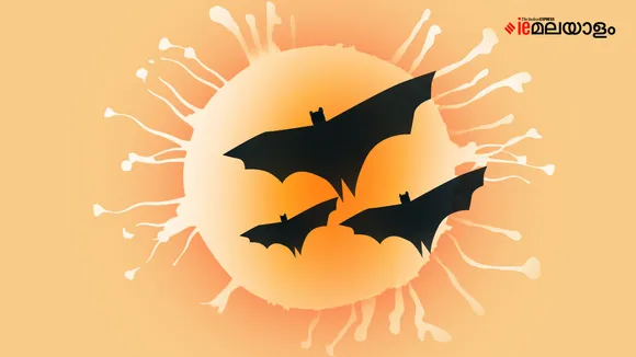 Nipah Virus | Nipah Virus Symptoms | Nipah Virus Treatment | Nipah Virus Disease