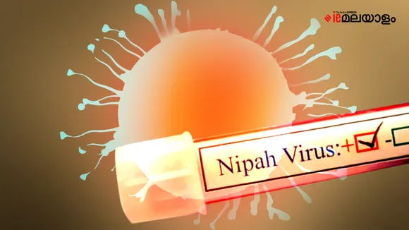 Nipah | News | Tamil Nadu