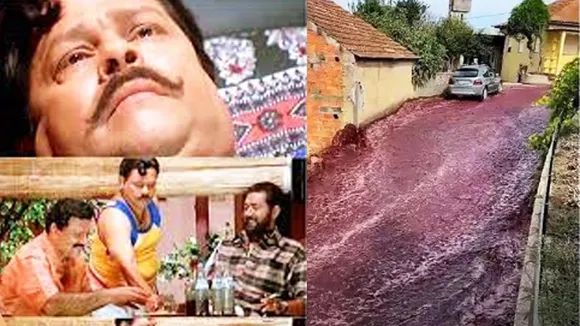 Wine video | Red Wine Overflow Streets in Portugal