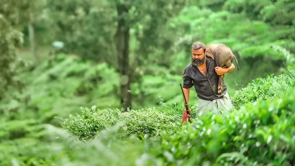 Chaaver Movie | Chaaver Release | Chaaver review | Chaaver movie stills | Kunchacko Boban