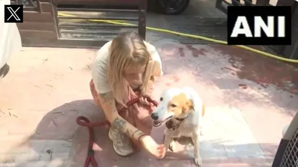 The street dog named Jaya will be travelling with the woman to the Netherlands | Viral Video