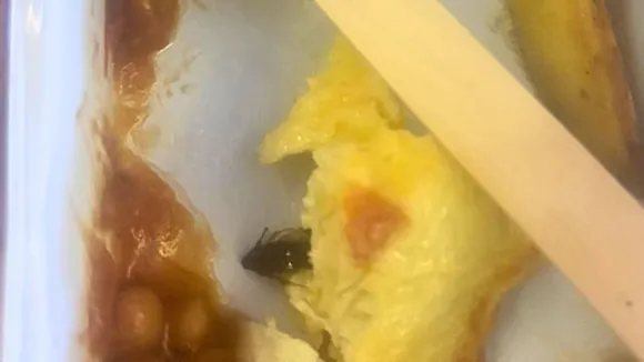 Cockroach in meal, Air India