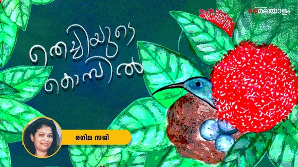 Ragila Saji |  Poem