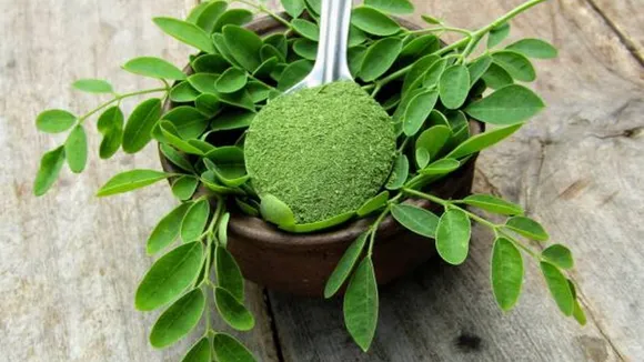 moringa