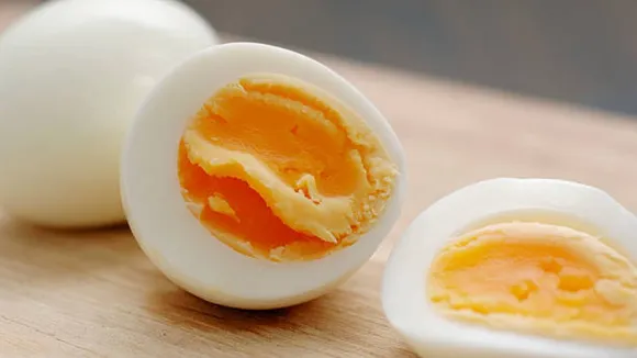 egg