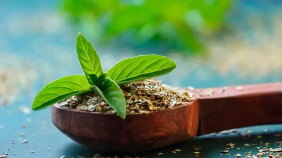 tulsi