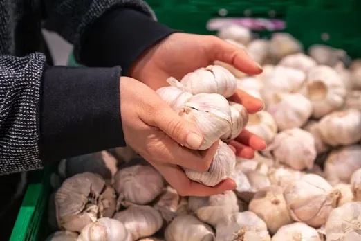 garlic 