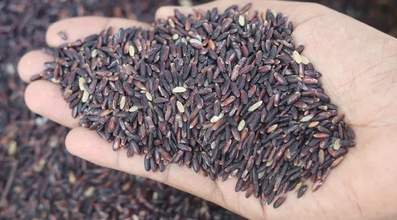 Black kavuni rice