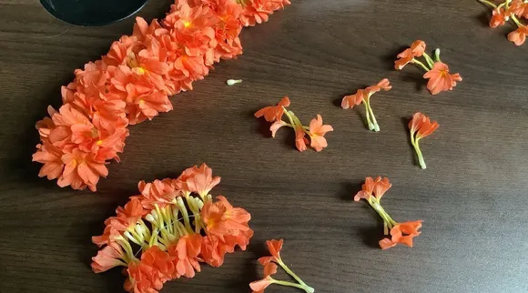 Peach flower