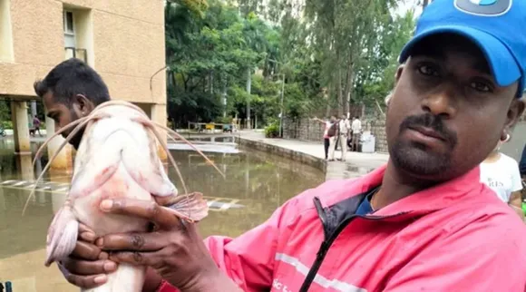 1 fish bangalore rain