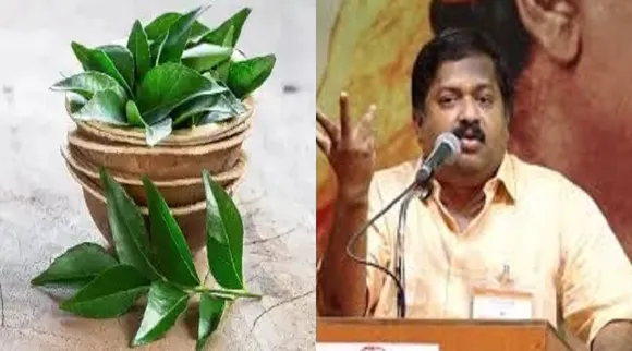 curry leaves Sivaraman