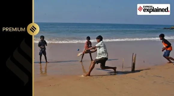 child cricket
