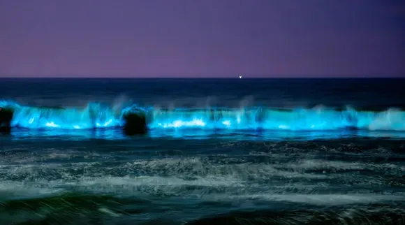 Blue Waves In ECR Beach