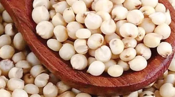 Corn
