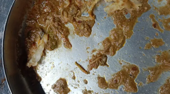 Parotta issue