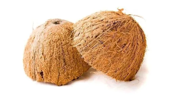 Coconut shell