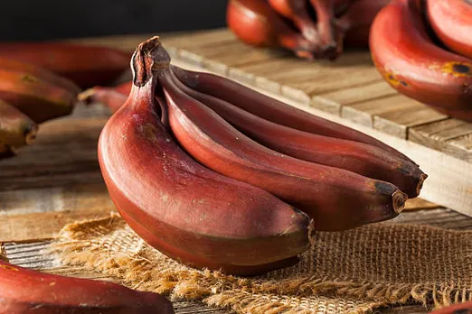 Red banana