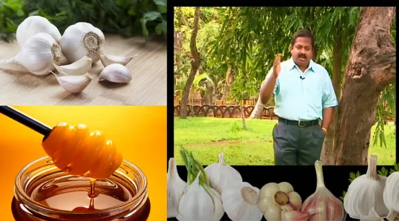 garlic + honey