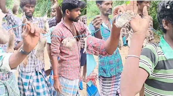 irular protest