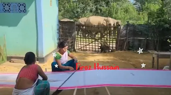 Elephant walk 2