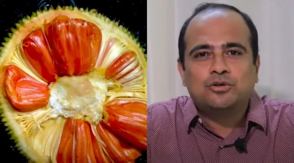 siddu jack fruit