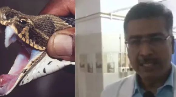 Doctor and snake